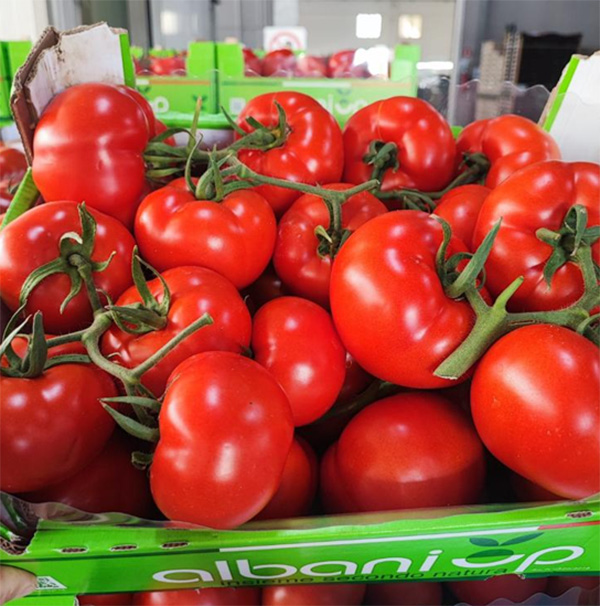Pomodoro grappolo - Sicilia - 2,50 euro al chilogrammo